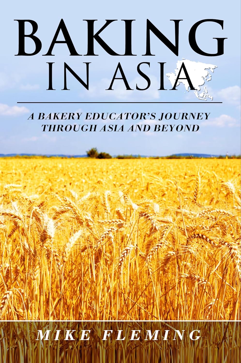 Baking in Asia : A Bakery Educators Journey through Asia and Beyond