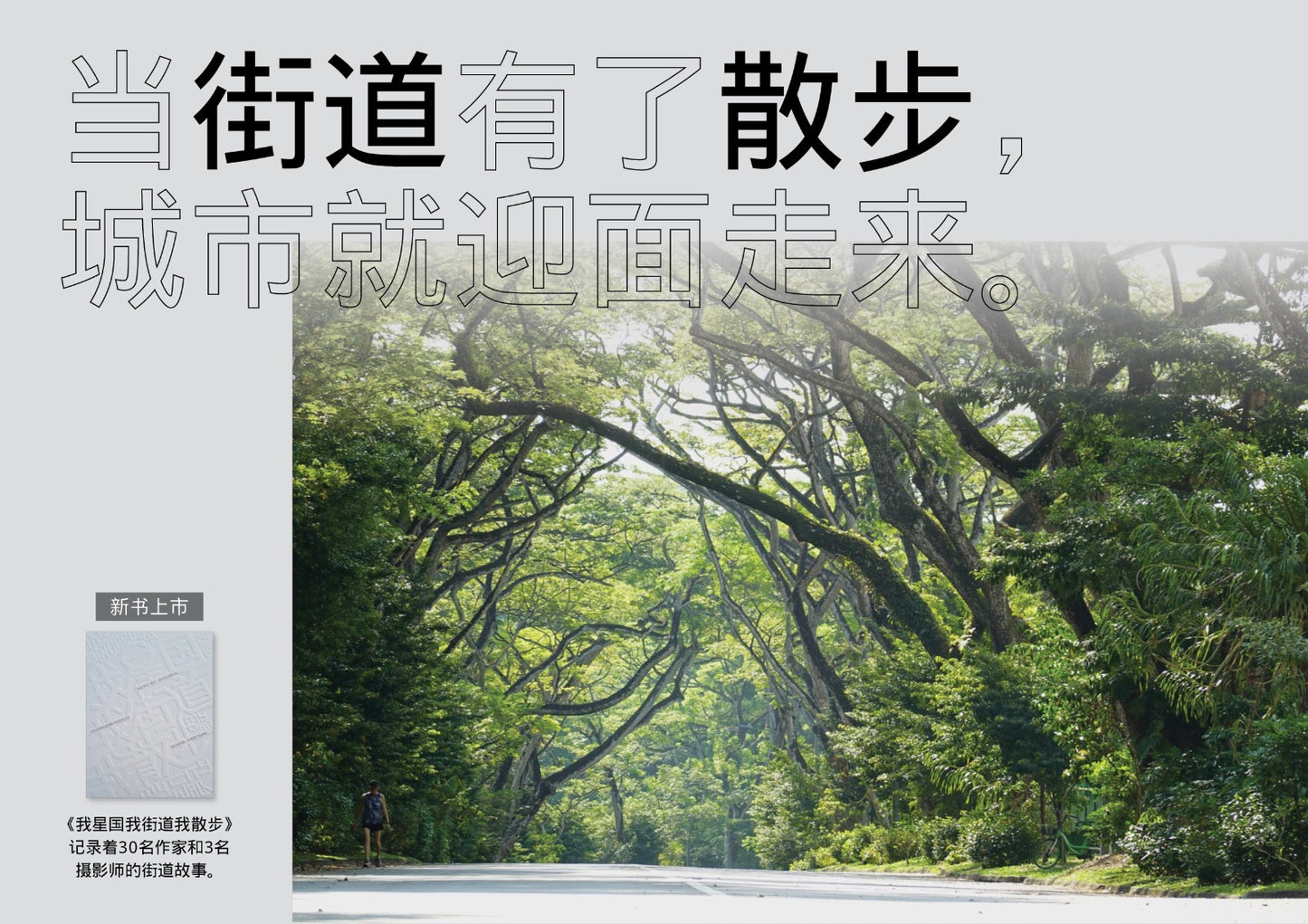 我星国我街道我散步