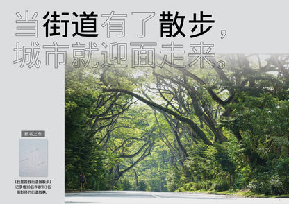 我星国我街道我散步