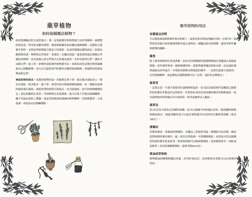 新手魔法手册：药草、水晶、仪式、占卜、塔罗⋯⋯你的第一本灵性指引
