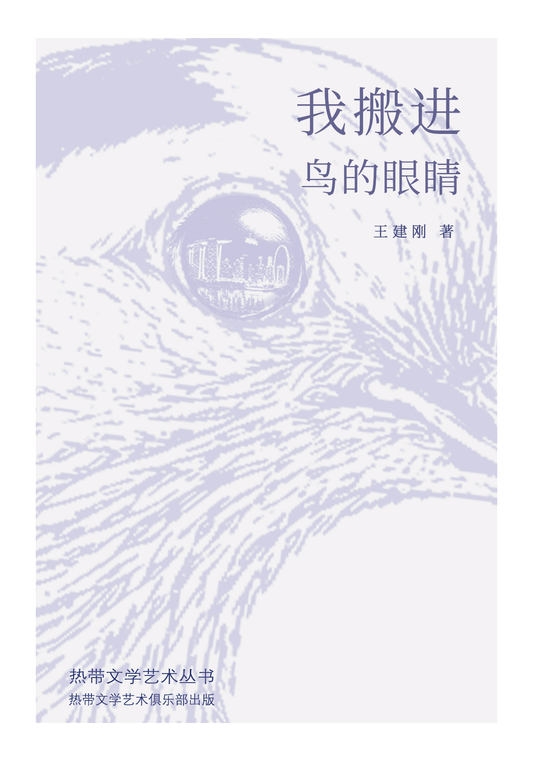 我搬进鸟的眼睛
