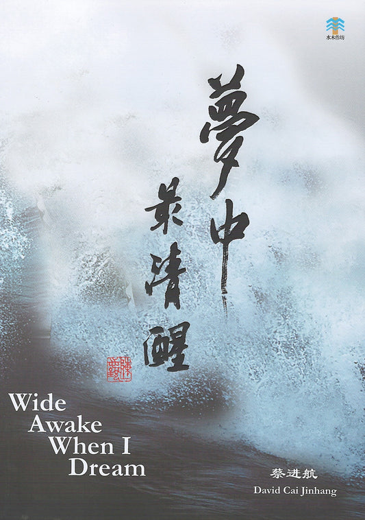 梦中最清醒 Wide Awake When I Dream