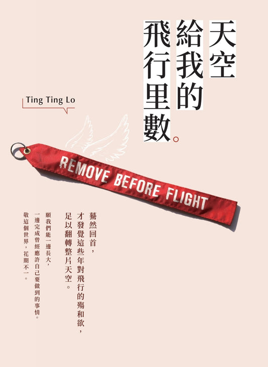 天空给我的飞行次数